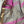 'ASHA: BERRY' Handwoven Silk-Cotton Maheshwari Saree