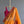 'BHAVANA' Handwoven Cotton Narayanpet Saree