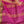 'BISHAKHA' Handwoven Cotton Narayanpet Saree