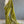 'RHEA: Olive-beige' Handwoven Begumpuri Cotton Saree