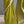 'RHEA: Olive-beige' Handwoven Begumpuri Cotton Saree