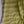 'RHEA: Olive-beige' Handwoven Begumpuri Cotton Saree