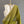 'RHEA: Olive-beige' Handwoven Begumpuri Cotton Saree