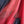 'HAIMANTI: DEEP PUNCH PINK' Handwoven Begumpuri Saree