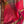 'SUNDARI: TOMATO RED' Handwoven Silk-Cotton Maheshwari Saree