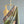 'AVYUKTA: GREEN DUAL-TONED' Handwoven Silk-Cotton Maheshwari Saree