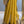 'DHANALAKSHMI: MUSTARD' Handwoven Silk-Cotton Maheshwari Saree