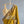 'DHANALAKSHMI: MUSTARD' Handwoven Silk-Cotton Maheshwari Saree