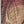 'HAIMAVATHI: RUST' Handwoven Tissue Silk Maheshwari Saree