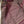 'VASUDHA' Handwoven Silk-Cotton Maheshwari Saree