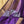 'DHANALAKSHMI: PURPLE' Handwoven Silk-Cotton Maheshwari Saree