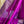 'REVATHI: MAGENTA' Handwoven Silk-Cotton Maheshwari Saree