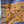 'REVATHI: MUSTARD' Handwoven Silk-Cotton Maheshwari Saree