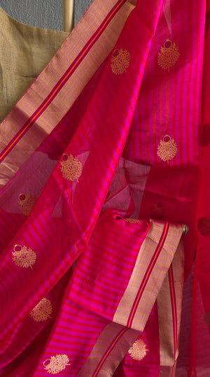 'DEMETER Handwoven Silk Chanderi Saree