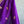 'CLIO' Handwoven Silk Chanderi Saree