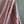 'VENUS' Handwoven Silk Chanderi Saree