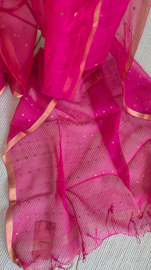 'DEVAHUTI: RANI PINK' Handwoven Resham Saree