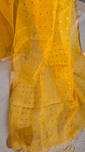 'DEVAHUTI- YELLOW' Handwoven Resham Saree