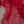 'DEVAHUTI- RED' Handwoven Resham Saree