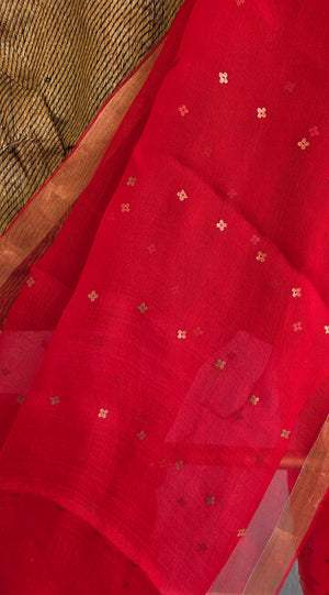 'DEVAHUTI- RED' Handwoven Resham Saree