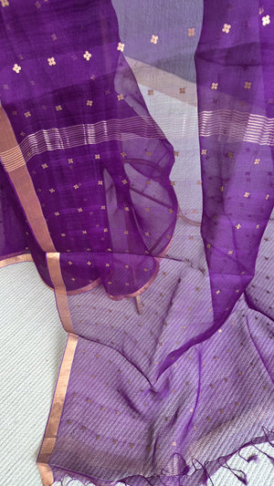 'DEVAHUTI: PURPLE' Handwoven Resham Saree