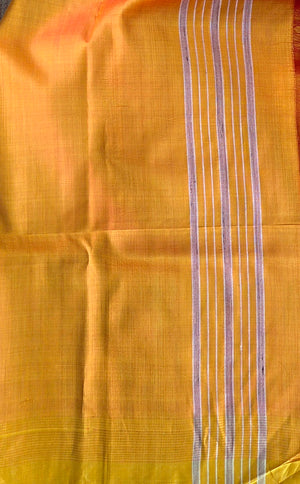 'PILOT PROJECT: Rust' Handwoven Mulberry Silk Saree