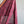 'VADAMALLI' Kalamkari on Handwoven Mangalagiri saree