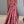 'NAGALINGAM' Kalamkari on Handwoven Mangalagiri saree