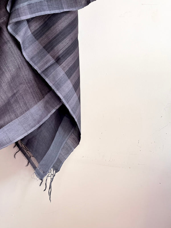 'APBHRAMSA' - Handwoven Bhagalpuri Tussar Silk