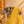 'DEVAHUTI- YELLOW' Handwoven Resham Saree