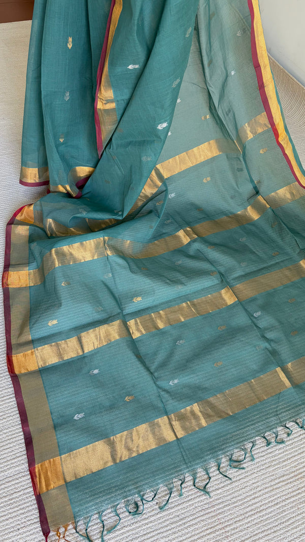 'PAVIKA:Cadet' Handwoven Venkatagiri Cotton Saree