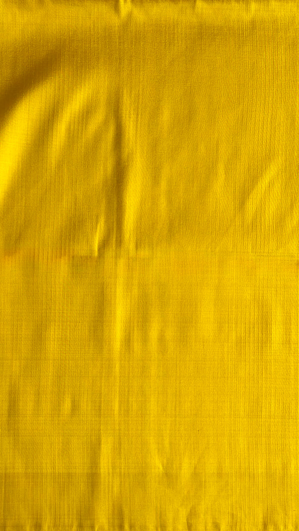 'SHISHUNAGA' Handwoven Mulberry Silk Saree