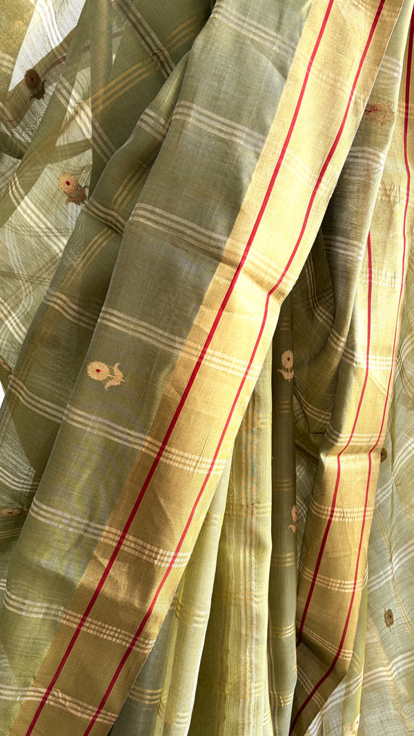 'MALWA RANI' Handwoven Silk-Cotton Chanderi Saree