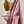 'CHANDELLAS' Handwoven Tissue Maheshwari Saree