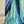 'LAVANYA' Handwoven Pochampally Ikat Cotton Saree