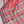 'RAGINI' Handwoven Narayanpet Cotton Saree