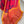 'UDGAM : Red' Mangalagiri Cotton Saree