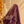 'VASUDHA' Handwoven Silk-Cotton Maheshwari Saree