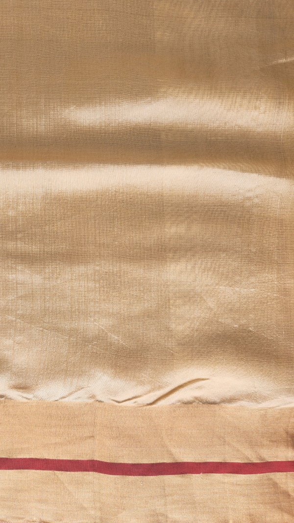 'CHITRA' Handwoven Silk Chanderi Saree