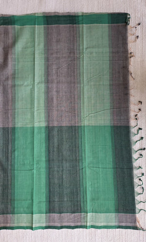 'DESK PLANT' Handwoven Mangalagiri Cotton Saree