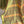 'KALINDI' Handwoven Silk-Cotton Maheshwari Saree