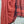 FINE COTTON BHUJODI - RUST